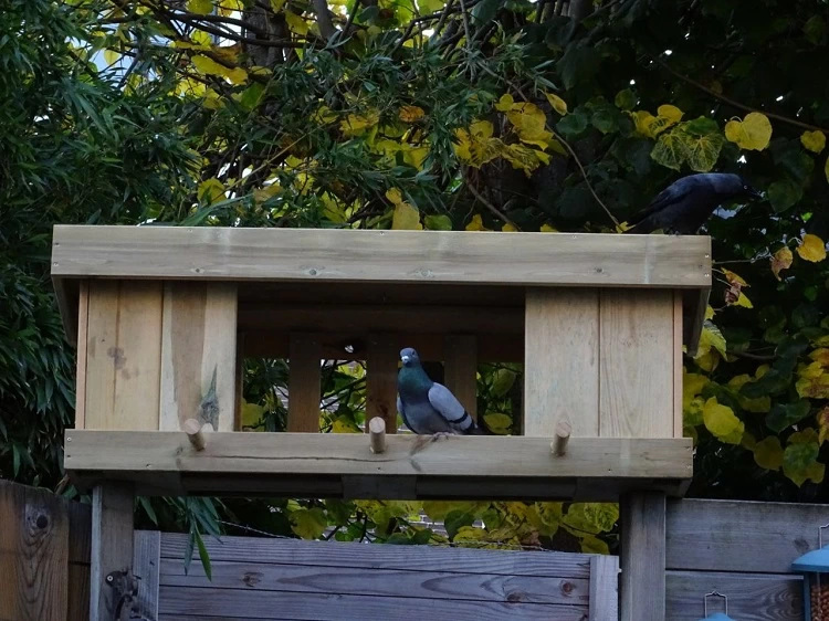 Vogelvoederhuis voor op de schuttingdeur laten maken